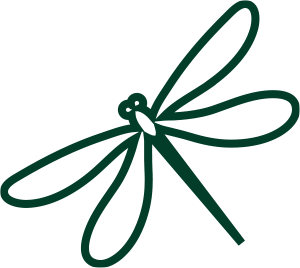 Dragonfly icon