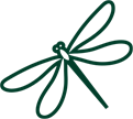 Dragonfly icon